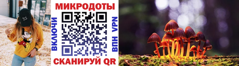 Галлюциногенные грибы GOLDEN TEACHER  Купить закладки  Волоколамск 